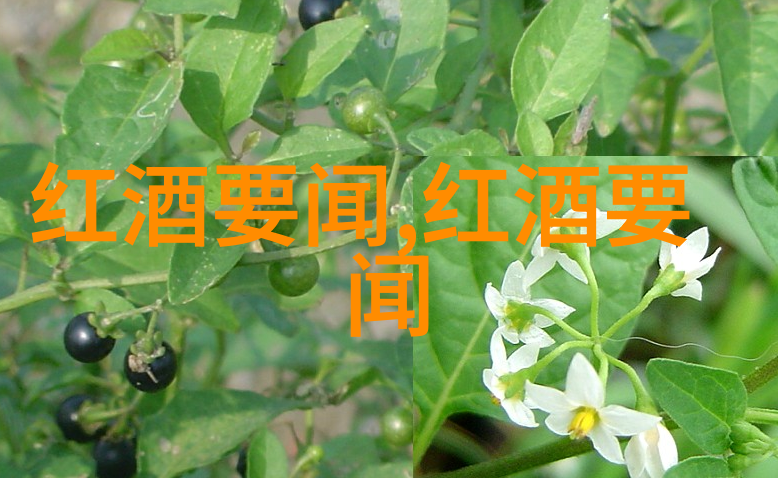 揭秘上海东方收藏骗子公司巧手绘制艺术谎言
