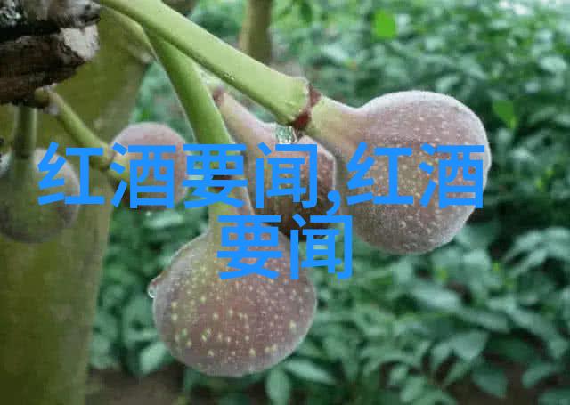 360问答系统全方位的知识获取解决方案