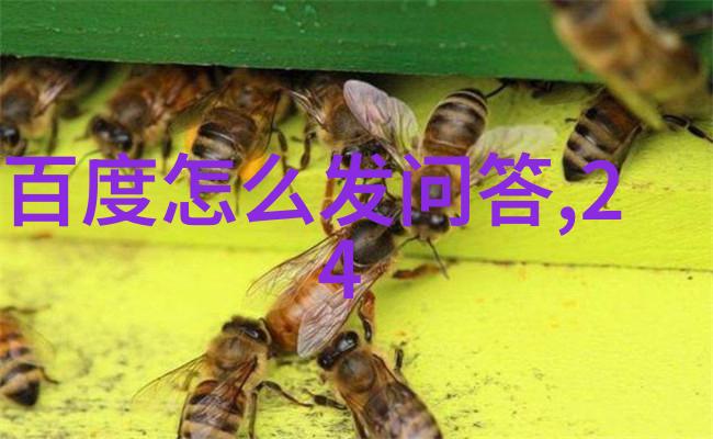 葡萄酒传播者奖启航收藏品种类如同星辰大海2023年报名启程