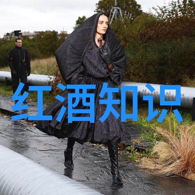 敦煌葡萄酒探索中世纪庄园分布密度在社会中的影响