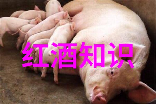 龙船酒庄法国葡萄园里的传说故事