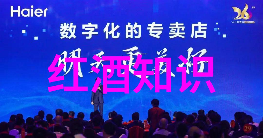 西班牙葡萄酒的秘密花园从里斯本到巴塞罗那跟随脚步跳舞的味道