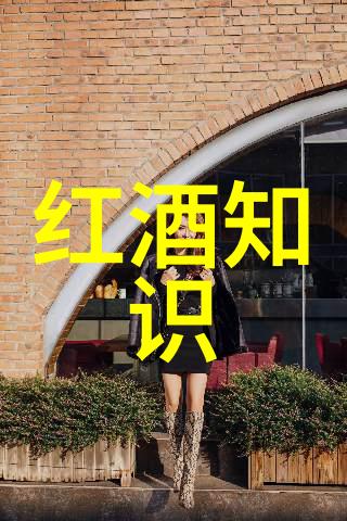小米手机9小米公司发布的第九代智能手机