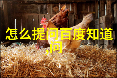猫怎么看品种我是喵来看看这只猫怎么看待它们的品种吧