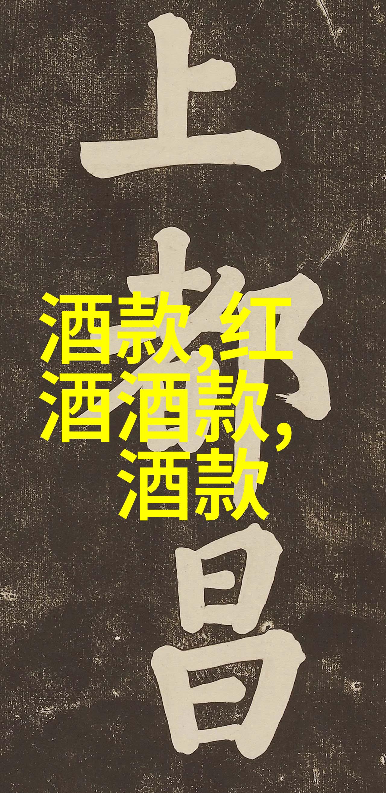 美短猫的魅力展现美短猫种的独特风采