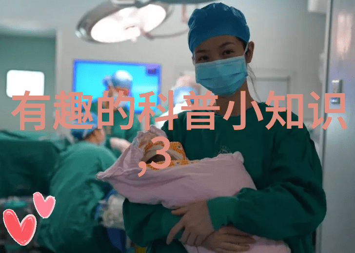 玉米种子之谜解锁卡门妮雅的秘密成长法则