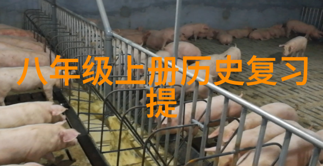 脱衣男子uknakedmen的魅力与艺术