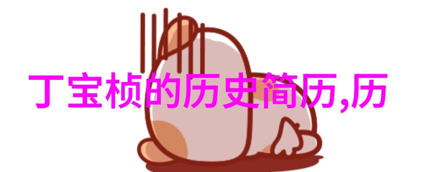 查看7天历史记录-回顾过去探索您的生活轨迹