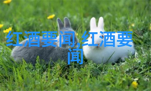 红酒会的主题探索德国葡萄酒的历史之旅
