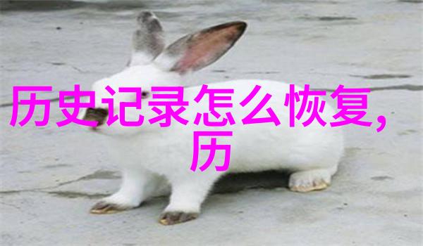 豪华庄园巡礼揭秘美国十大奢华豪宅的奇迹与魅力