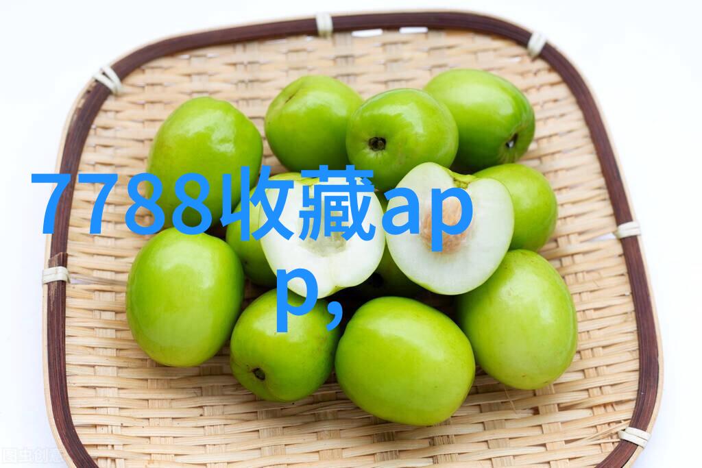 华夏收藏网通行证解锁古籍珍品的数字门户