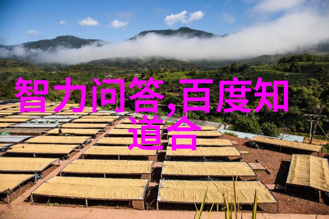 钱币收藏价格表精确评估你的金银货