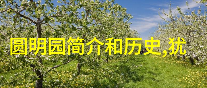 东方收藏之谜一段关于骗子的上海故事