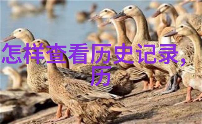 法国大革命对现代政治的影响深远吗