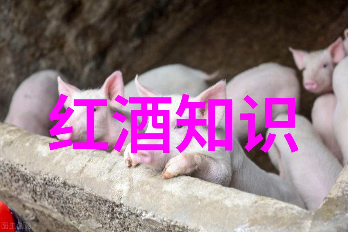 第一问答网站我是怎么在网上找到的第一个问题和答案的