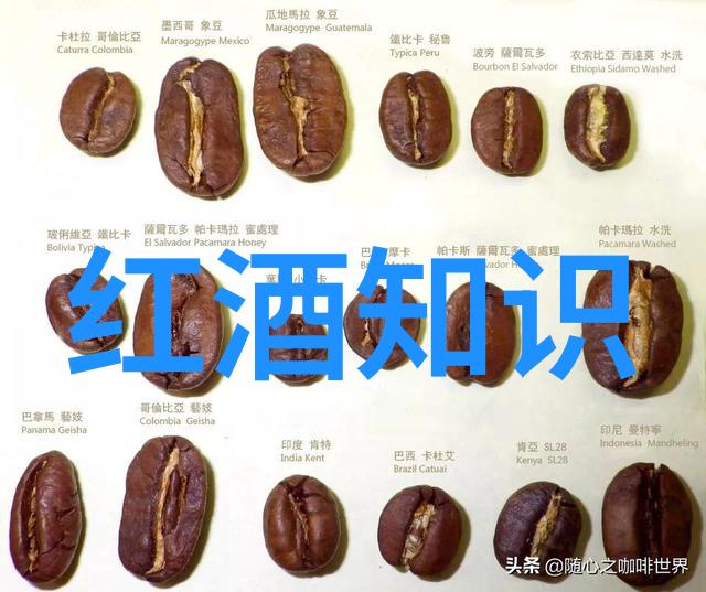 可爱少女的卡通世界甜蜜与反差的交响