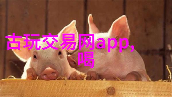 自由建造家园探索手游中的创意与乐趣
