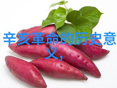情人节之际云仓酒庄温柔邀请您一同踏上周边一日游的旅程让我们一起寻觅那令人心动的风景与美味就如同情侣间