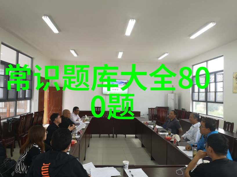 借口txt数字时代的逃避之术与自我反思