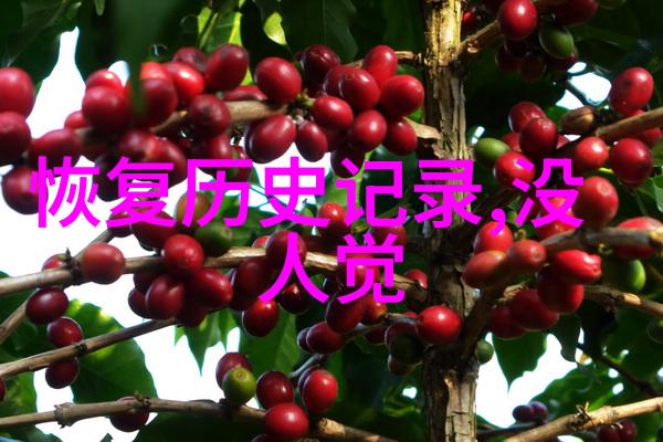 猫咪的多样魅力揭秘各色品种图片世界