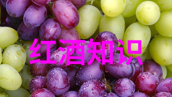 难道2022浪漫庄园游戏老是闪退不是希望酒庄的名义所托大吉