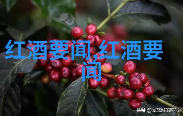 我怎样才能找到并管理我的云存储服务中的文件访问日志