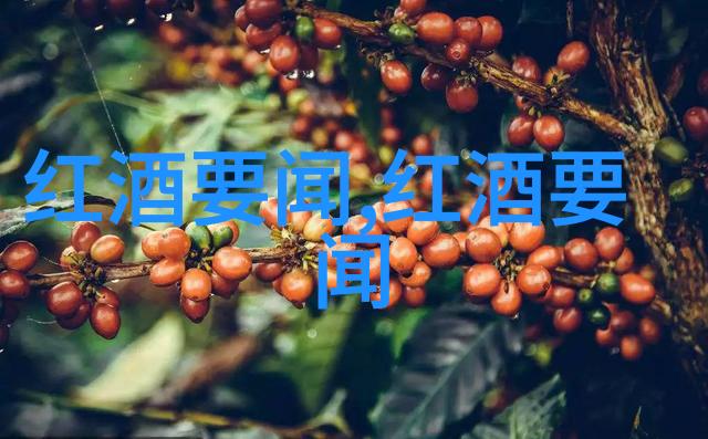 诠释古希腊神话奥林匹斯山上的传奇人物与故事