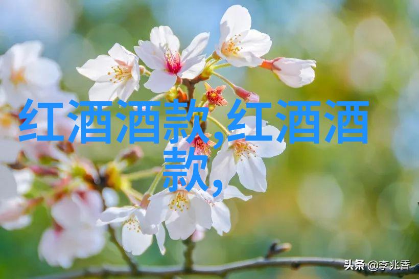 上海豪宅榜首揭秘最贵的庄园之巅