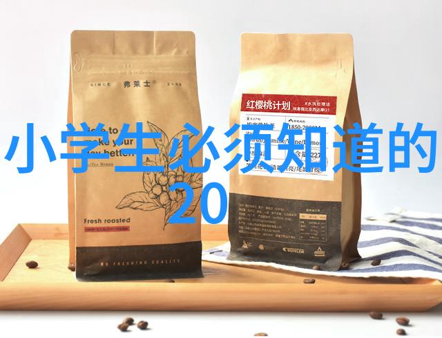 探秘深圳周边2天短途旅行珠海惠州与东莞的魅力之旅