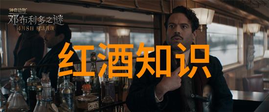 美国葡萄酒知识大全品鉴历史与文化的交响phony