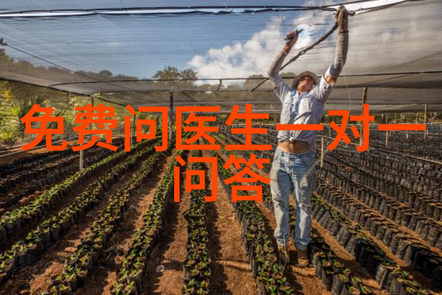 中小企业混合型资产配置策略与普通混合型相比有何不同之处