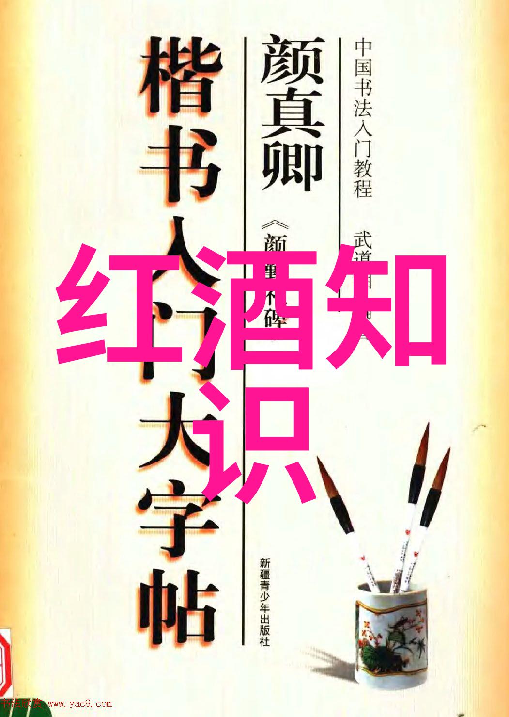 猫的品种有哪些图片 - 猫咪世界探索各种颜色和形态的猫品种美图