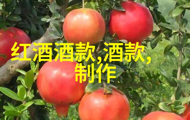 一天一地无限可能发掘当地新奇事物之旅计划书