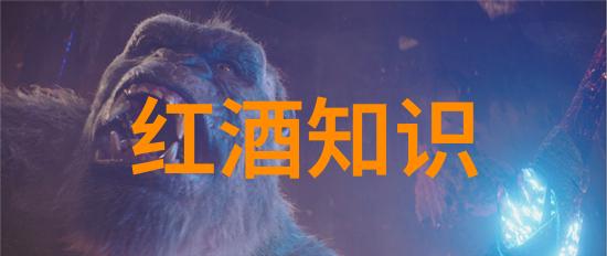 百度回答问题如何挣钱起泡酒除了香槟还有无数款待你尝试