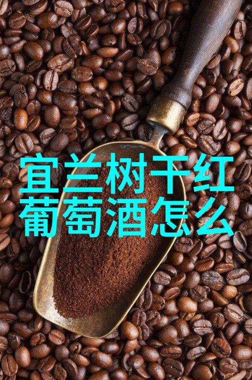 法国葡萄酒之冠勃艮第与波尔多的香醇篇章