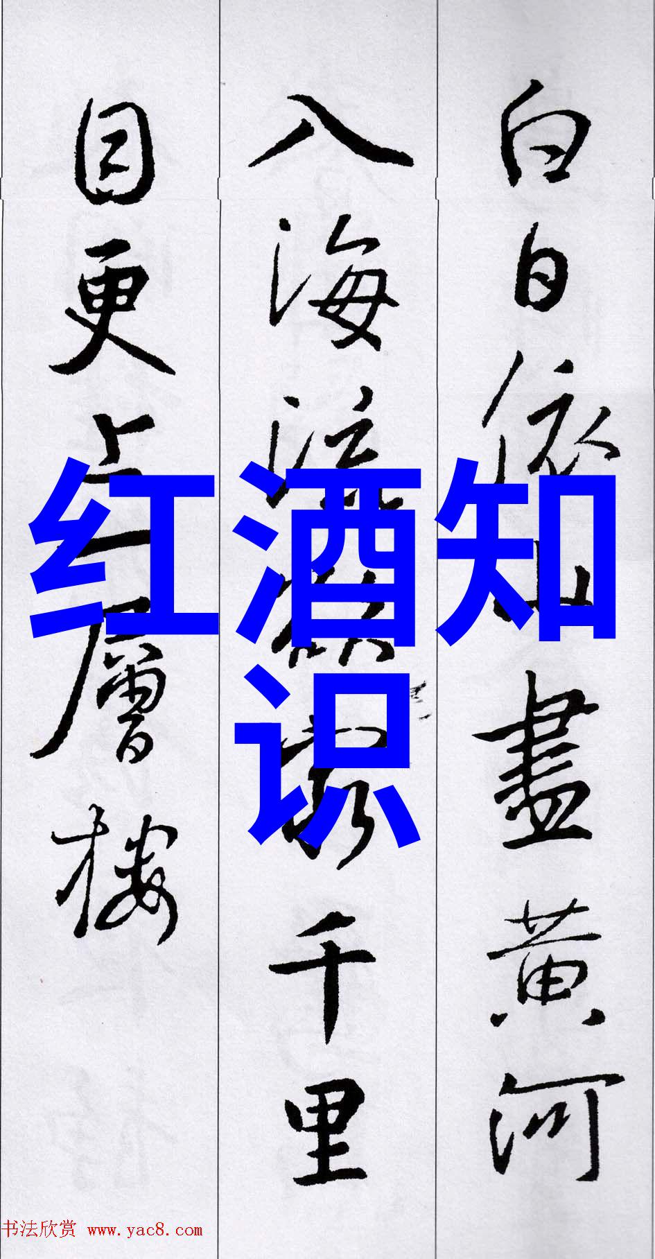 探索中国收藏艺术网领航古典文化与现代收藏风潮