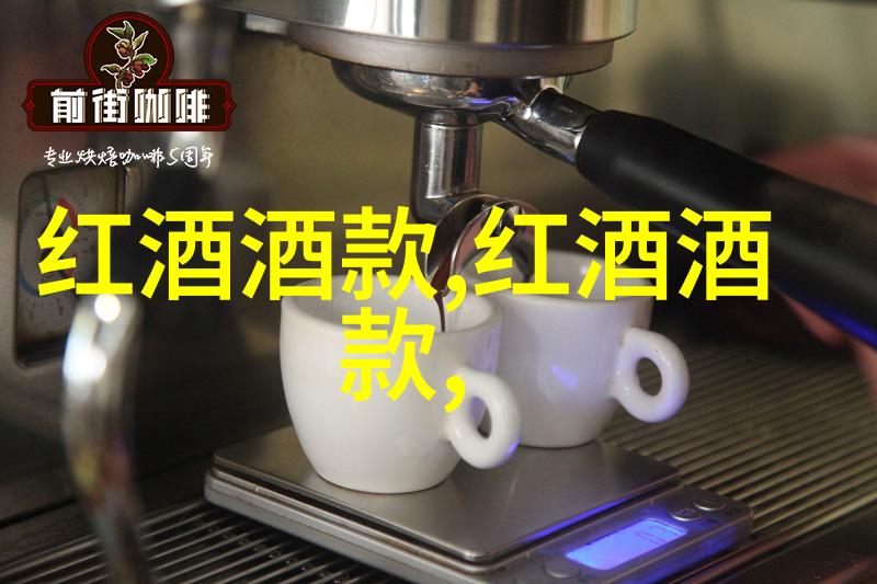 穿越时空的纽带巴勒斯坦历史的千丝万缕