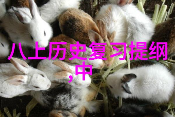 回顾往昔解读历史中的里程碑转化为现代视觉叙述