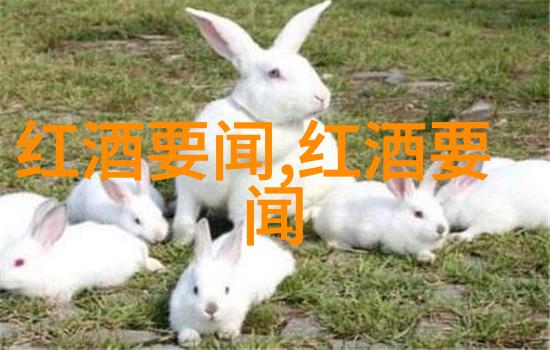 如何在短暂的时间内探索上海周边美食之都