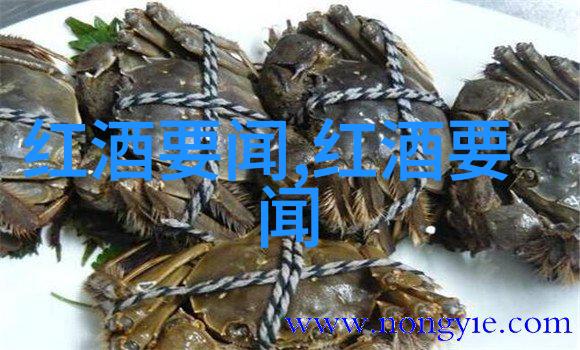 恩赐文本总结探索命运与人性的交汇点