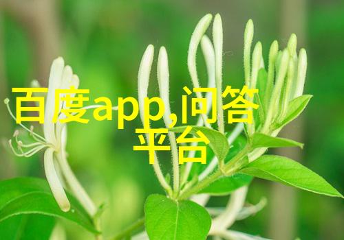 绘梦者之旅从笔尖到生命
