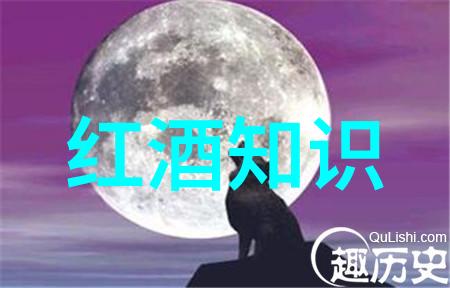 猫咪之名探索丰富的猫名称大全