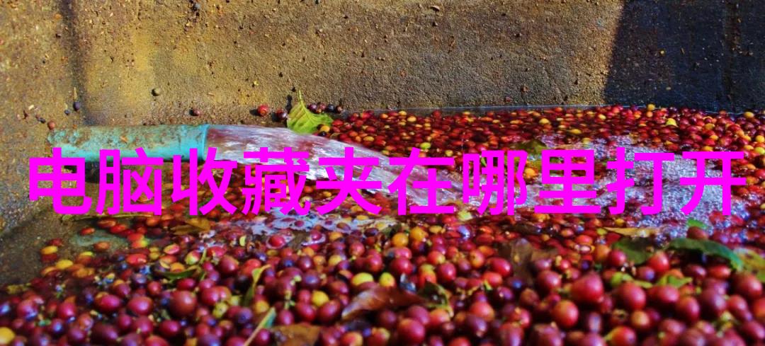 纱裙轻扬嫁时衣的传承与变迁