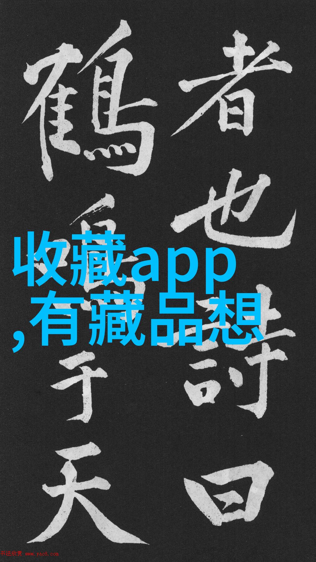 上海二次元文化热潮独家揭秘周边店铺精选