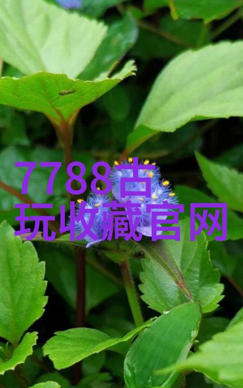 从古至今走进猫咪史诗般的品种大全图解之旅