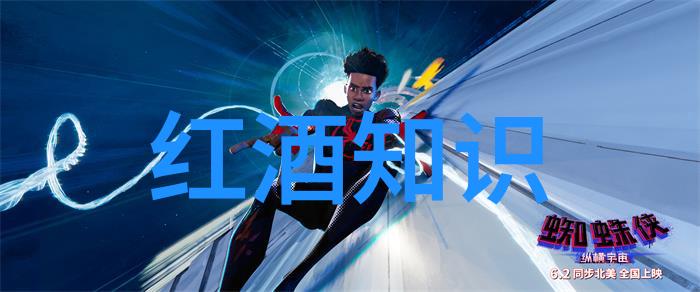 法国空姐完整版剧情HD我在云端的秘密爱情日记