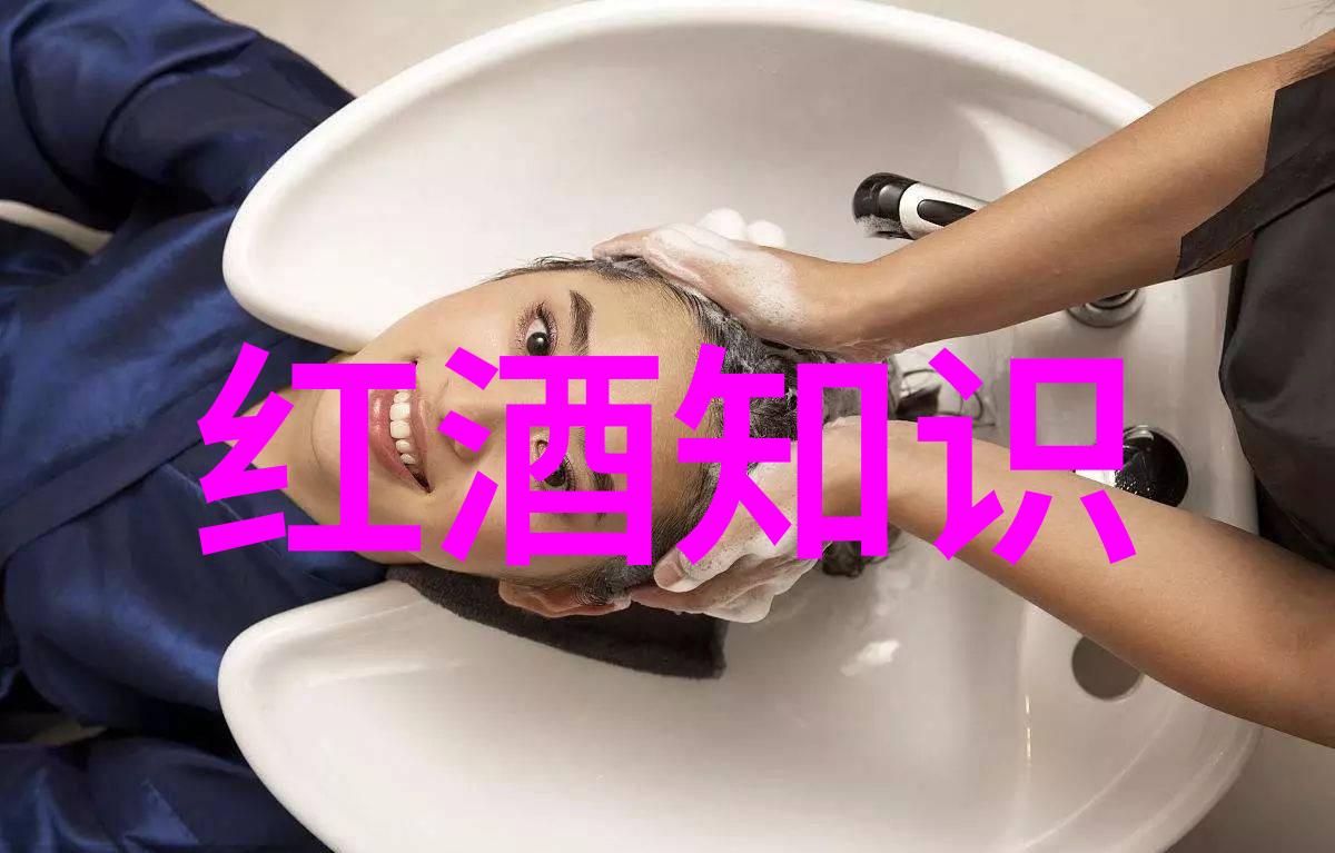 传承与创新时代楷模如何将传统与现代相结合