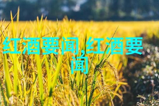 醉美地理探秘红酒产区级别的独特魅力