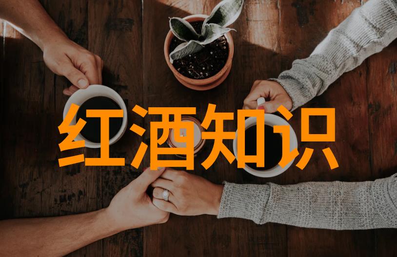 岁月静好家庭档案馆里的亲情与历史记录