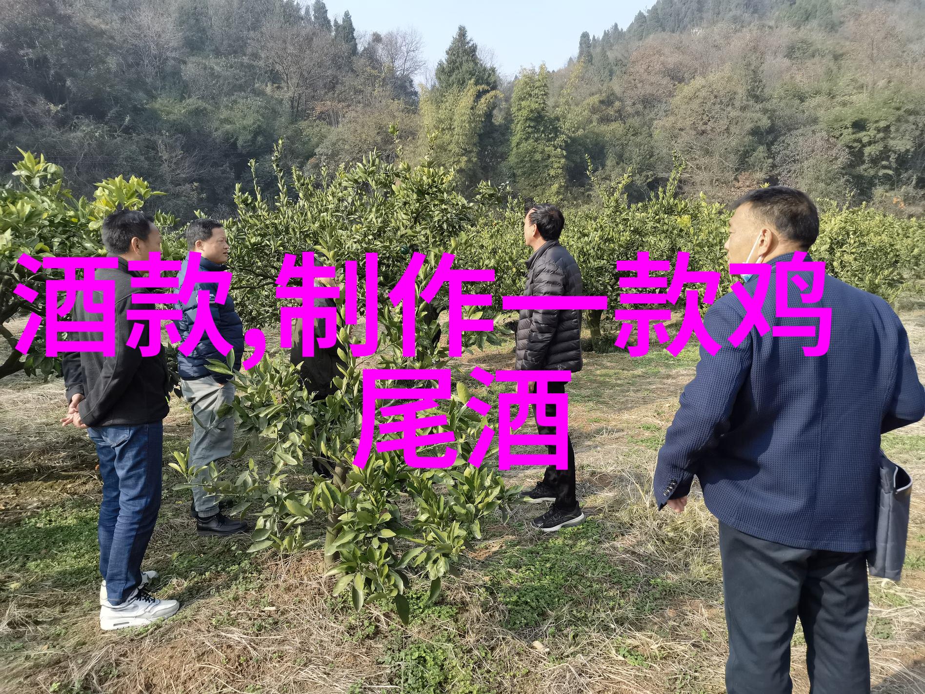 360快问快答 - 智慧碰撞探索360度快速互动的艺术与技巧